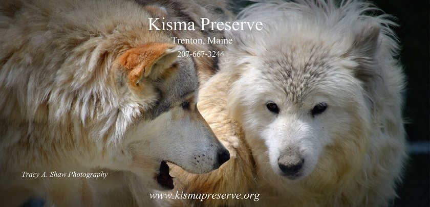 Kisma Preserve